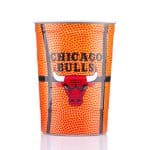 Custom 16 oz Sports Chill Party Cup