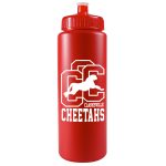 Custom 32 Oz. Sports Quart Bottle w/Push Pull Cap (White Or Frost)