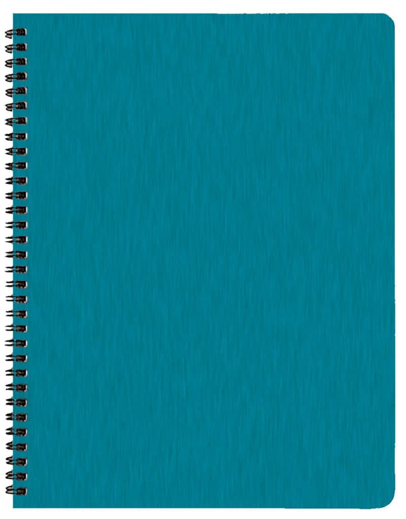 Custom Academic Wire Bound Monthly Appointment Planner w/ Shimmer Cover - 2