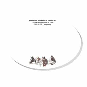 Custom Adhesive Die Cut Pad | 4" x 4" | 50 Sheet | Oval Stock Shape