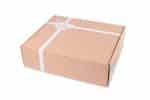 Custom Extra Large Box Mailer - Kraft - 1