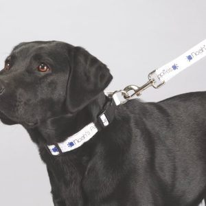 Custom Full Color 1'' Wide Premium Pet Leash