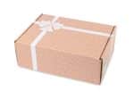 Custom Large Box Mailer - Brown - 1