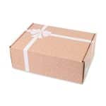 Custom Large Box Mailer - Brown