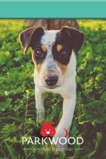 Custom Medium TucNotes™ w/Full-Color Wraparound (4"x6")