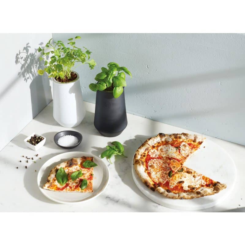 Custom Modern Sprout Tapered Tumbler Grow Kit - Black-Basil - 2