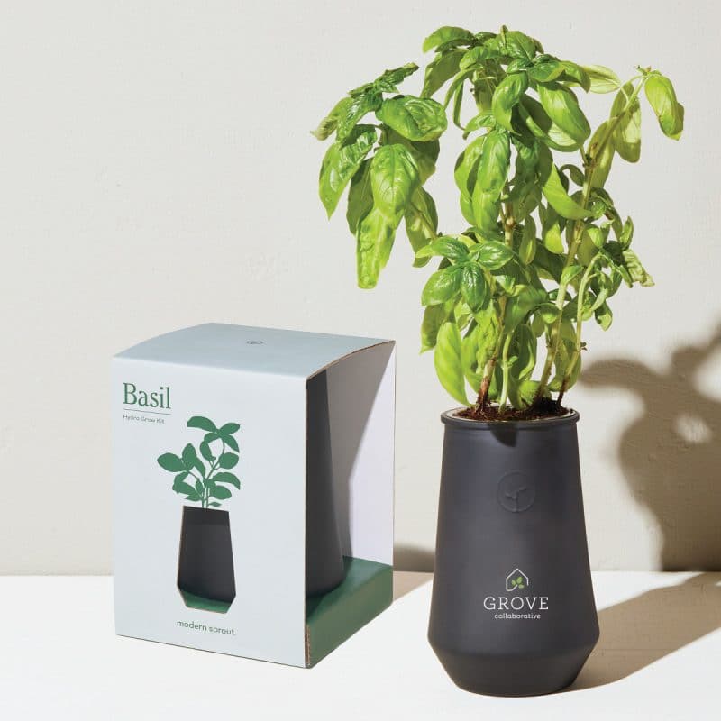 Custom Modern Sprout Tapered Tumbler Grow Kit - Black-Basil - 3