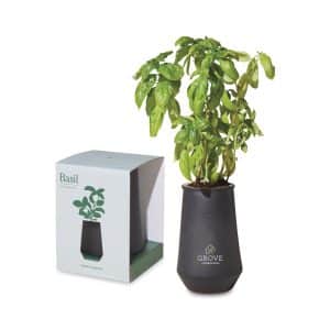 Custom Modern Sprout Tapered Tumbler Grow Kit - Black-Basil