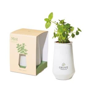 Custom Modern Sprout Tapered Tumbler Grow Kit - White-Mint