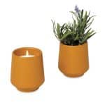 Custom Modern Sprout® Rooted Candle - Mustard-Lavender - 1