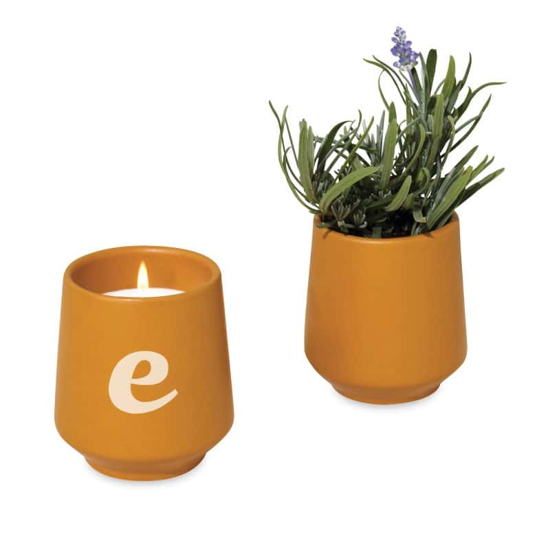 Custom Modern Sprout® Rooted Candle - Mustard-Lavender