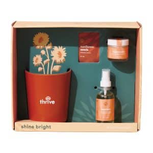 Custom Modern Sprout® Shine Bright Take Care Kit - Sunflower - Shine Bright Sunflower