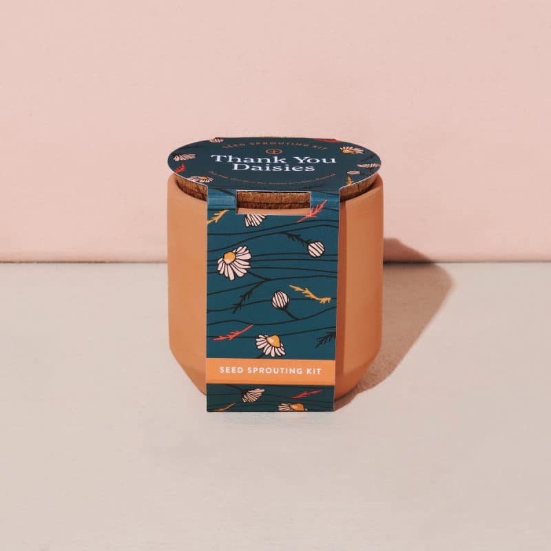 Custom Modern Sprout® Tiny Terracotta Grow Kit Thank You Daisies - Terracotta - 3