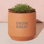 Custom Modern Sprout® Tiny Terracotta Grow Kit Thank You Daisies - Terracotta - 4
