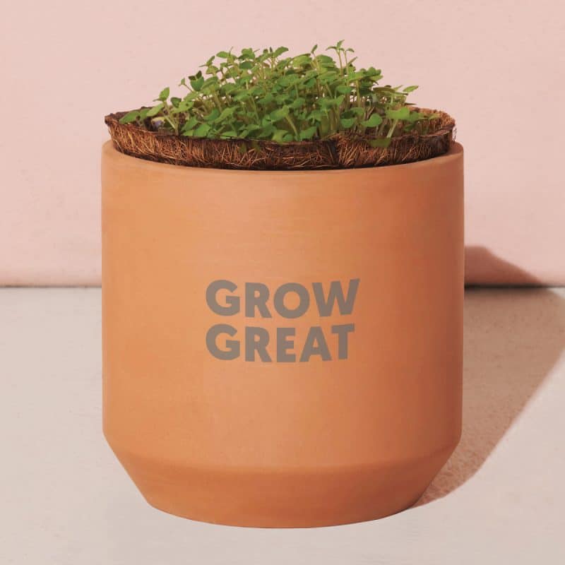 Custom Modern Sprout® Tiny Terracotta Grow Kit Thank You Daisies - Terracotta - 4