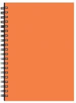 Custom Monthly Desk Wire Bound Appointment Planner w/ Technocolor Cover - 6