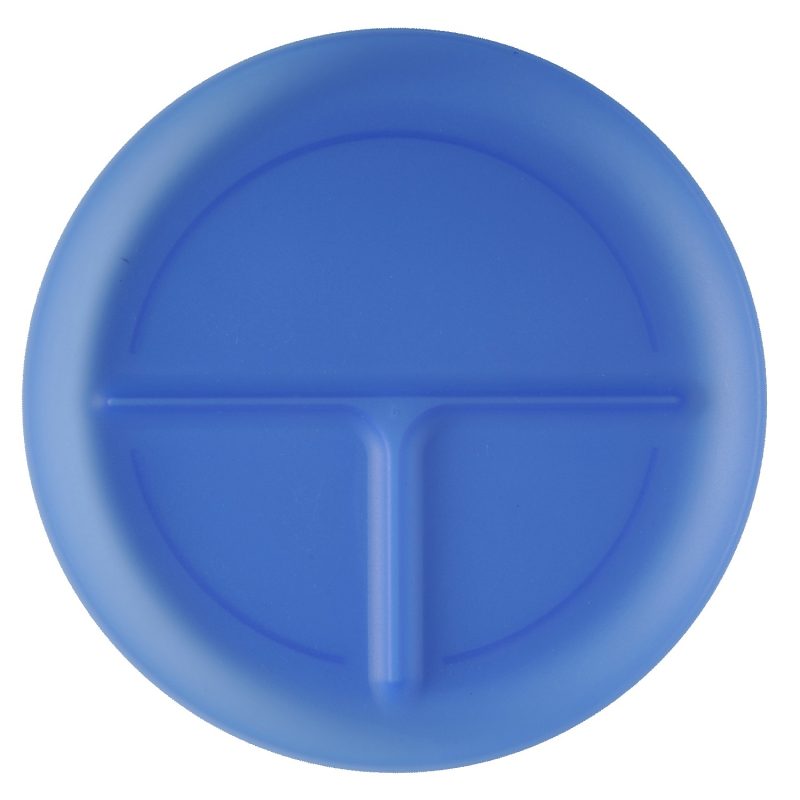 Custom Portion Plate - 9