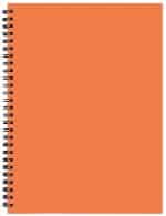 Custom Student Assignment Planner w/ TechnoColor Cover - 3