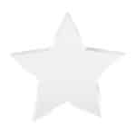Custom Full Color Acrylic Star - 1