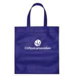 Custom Gift Bag - 4