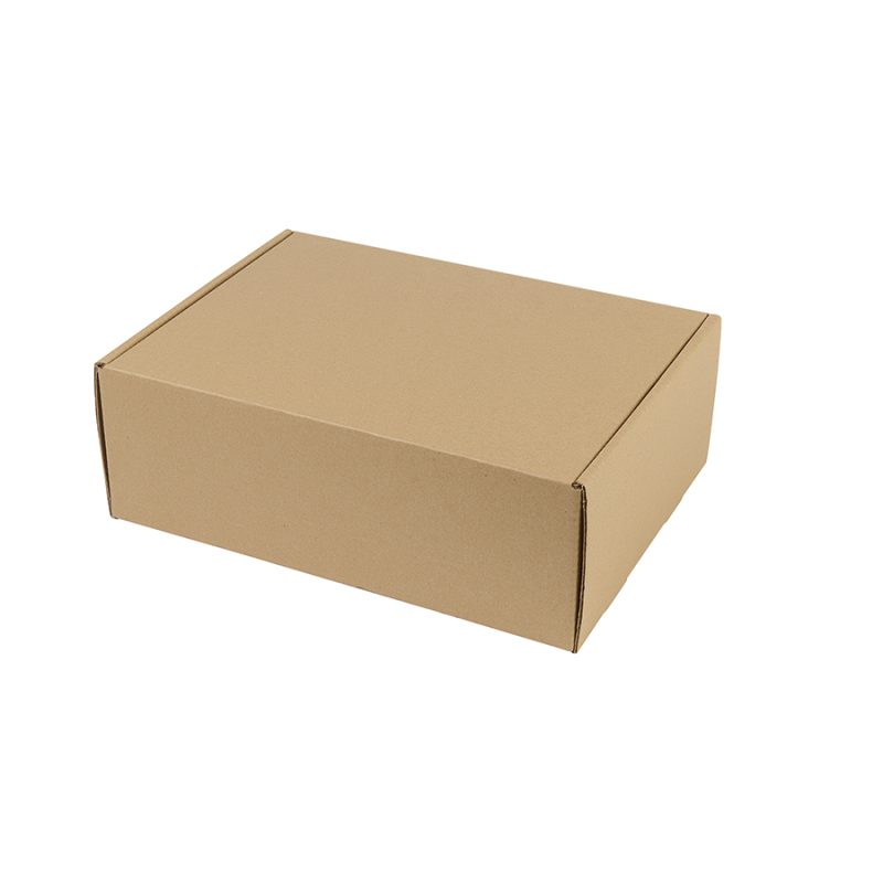 Custom Large Box Mailer - Kraft - 1