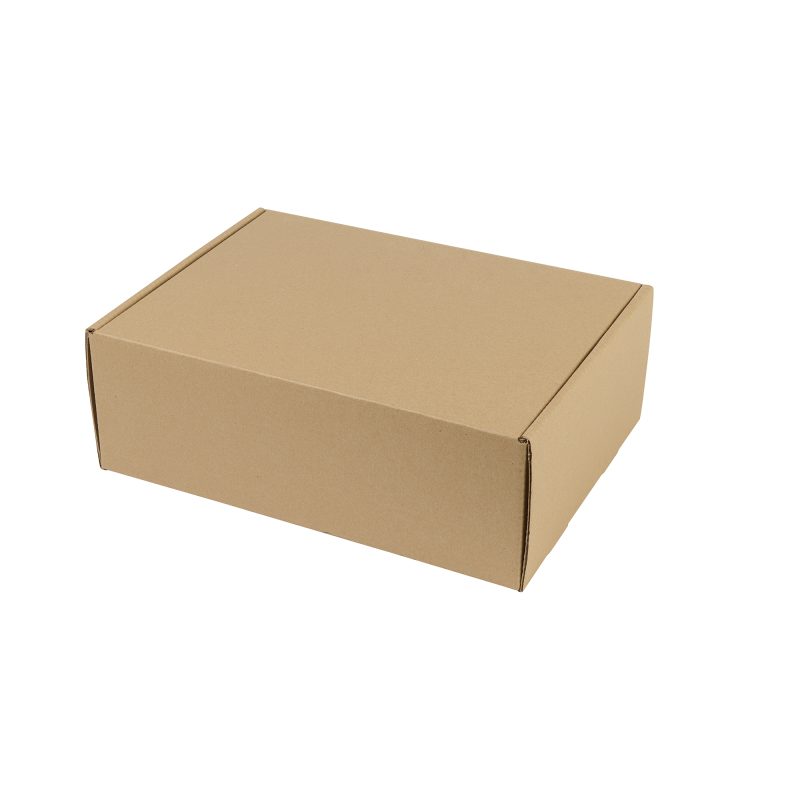 Custom Large Box Mailer - Kraft