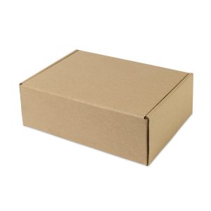 Custom Medium Box Mailer - Kraft