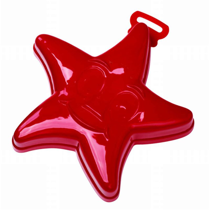 Custom 7" Star Fish Sand Mold - 5
