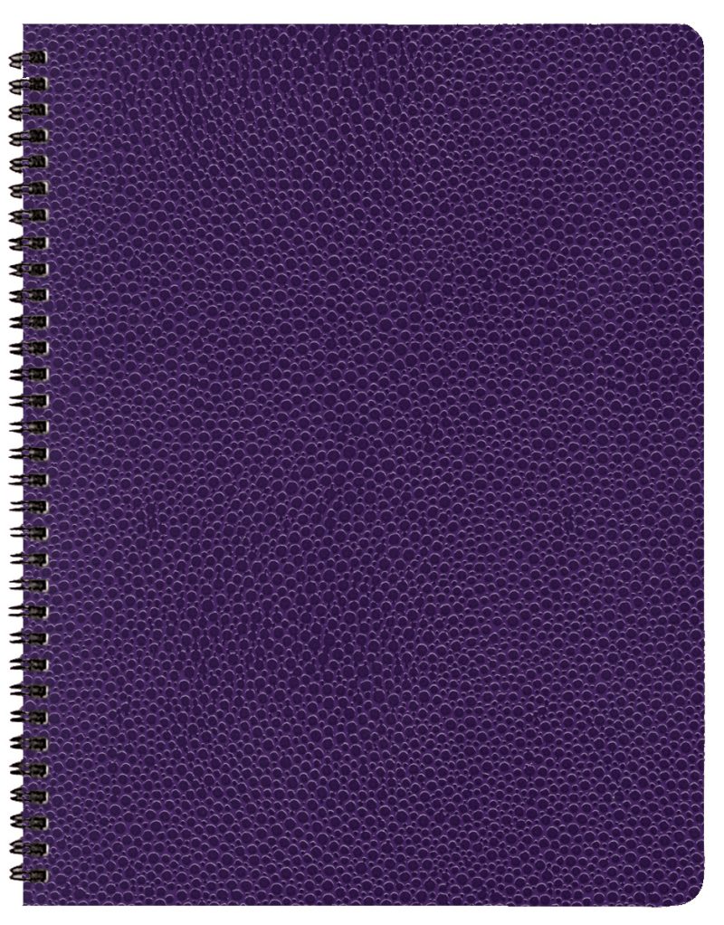 Custom Academic Wire Bound Monthly Desk Planner w/ Cobblestone Cover - 5