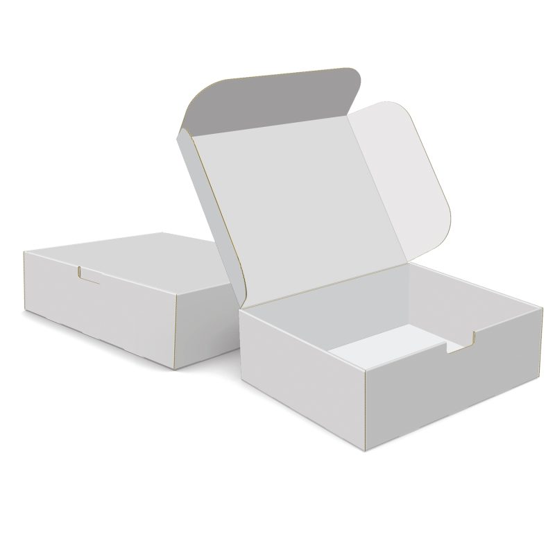 Custom Custom Boxes Econolux Mailer Jumbo Size 12" x 10" x4" - 2