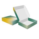 Custom E-flute Full Color Custom Mailer Boxes - 13" x 11" x 3"