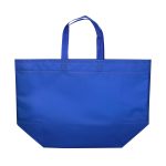 Custom Laminated Grocery Shopper - 9