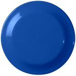 Custom Large Discus - 3