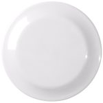 Custom Large Discus - 9