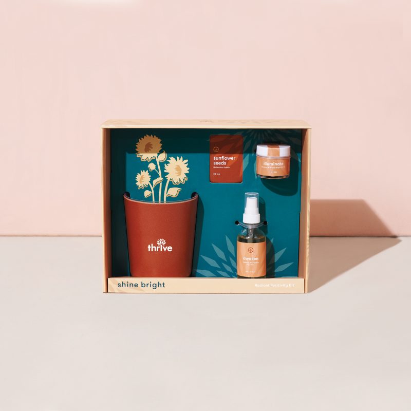 Custom Modern Sprout® Shine Bright Take Care Kit - Sunflower - Shine Bright Sunflower - 6