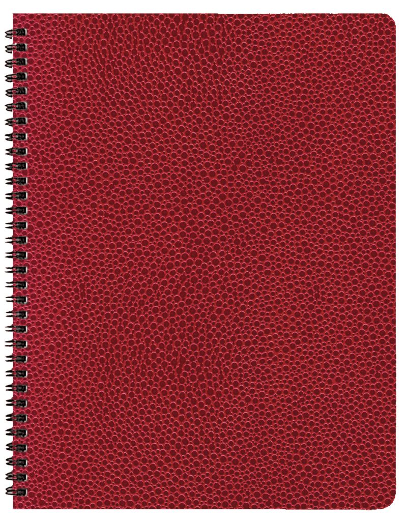 Custom Two Year Monthly Desk Planner w/ Cobblestone Cover - 5