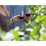 Custom govino® 16 Oz. Wine Glass Dishwasher Safe - Clear - 4