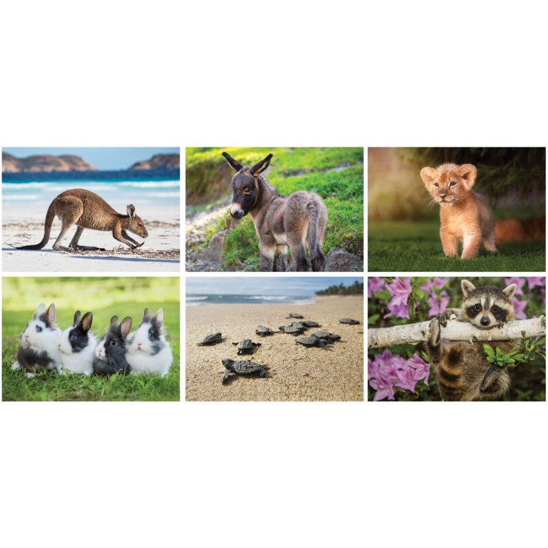 Custom Baby Animals Stapled Wall Calendar - 3