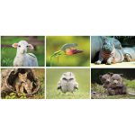 Custom Baby Animals Stapled Wall Calendar - 4