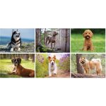 Custom Full Color Canine Companions Spiral Wall Calendar - 3