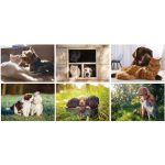 Custom Full Color Furry Friends Spiral Wall Calendar - 3