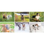 Custom Full Color Furry Friends Spiral Wall Calendar - 4