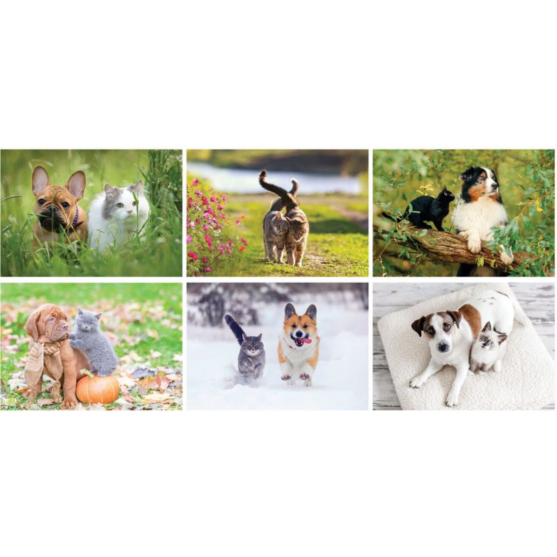 Custom Full Color Furry Friends Spiral Wall Calendar - 4