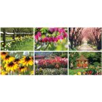 Custom Full Color Garden Splendor Spiral Wall Calendar - 3