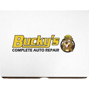 Custom Full Color Mailer Box