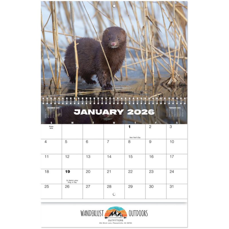 Custom Full Color North America Wildlife Spiral Calendar - 2