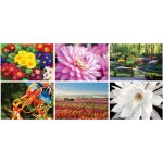 Custom Garden Splendor Wall Cal Spiral - 4