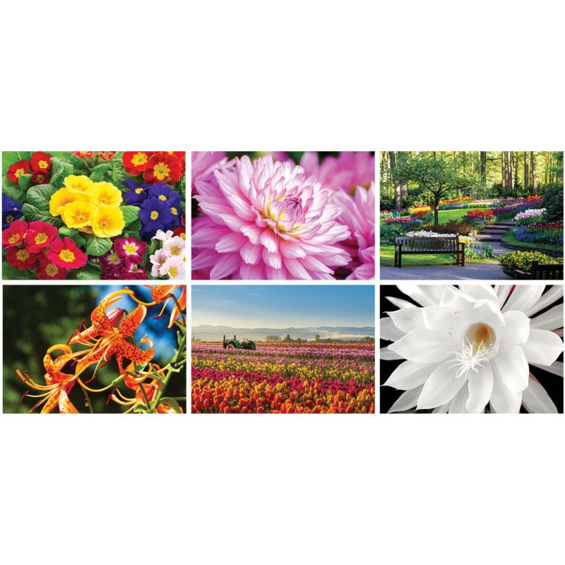 Custom Garden Splendor Wall Cal Spiral - 4