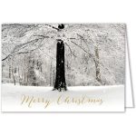 Custom White Christmas Card
