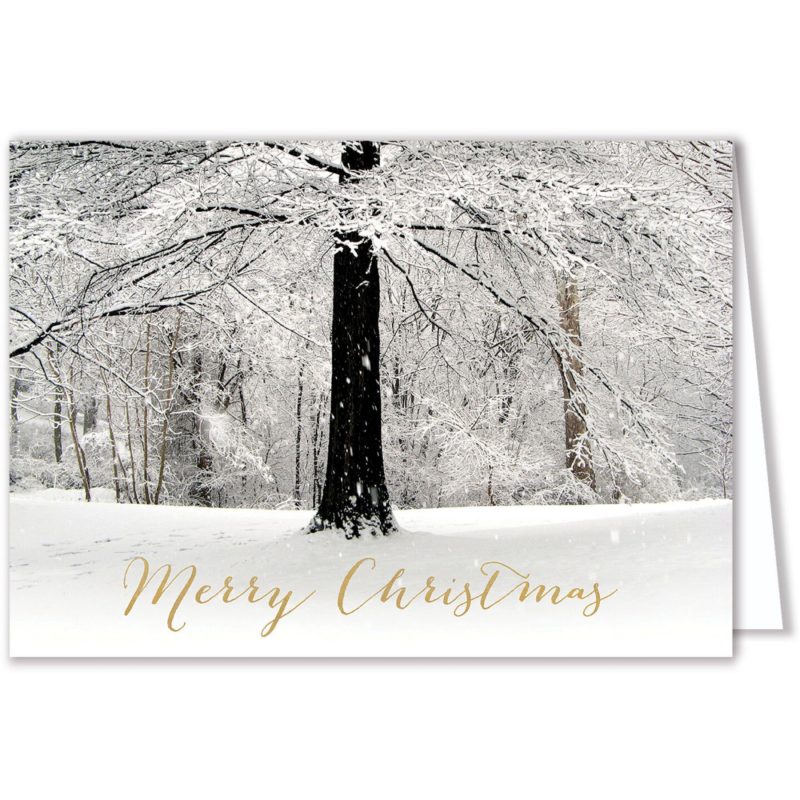 Custom White Christmas Card